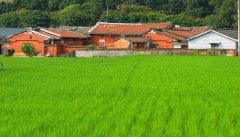 西安最新创业园区:藏在农村的十七个暴利好项目